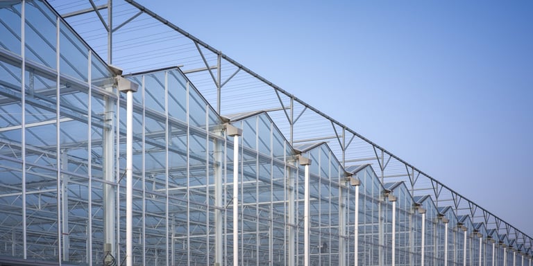 Modern glass greenhouse architecture