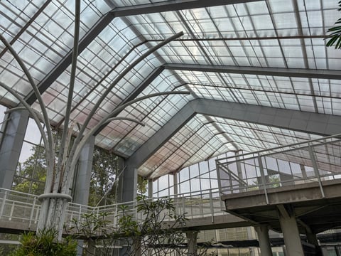 Greenhouse Interior