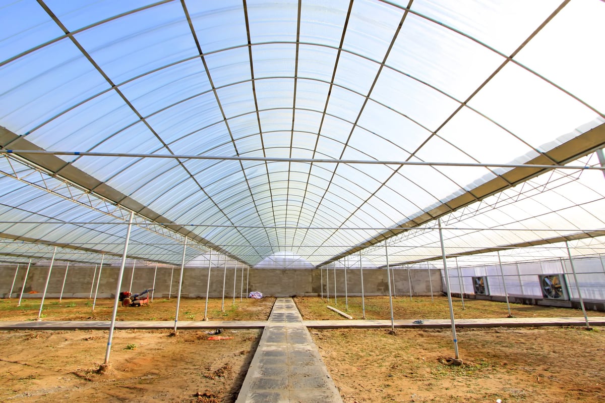 Greenhouse internal structure with steel framing